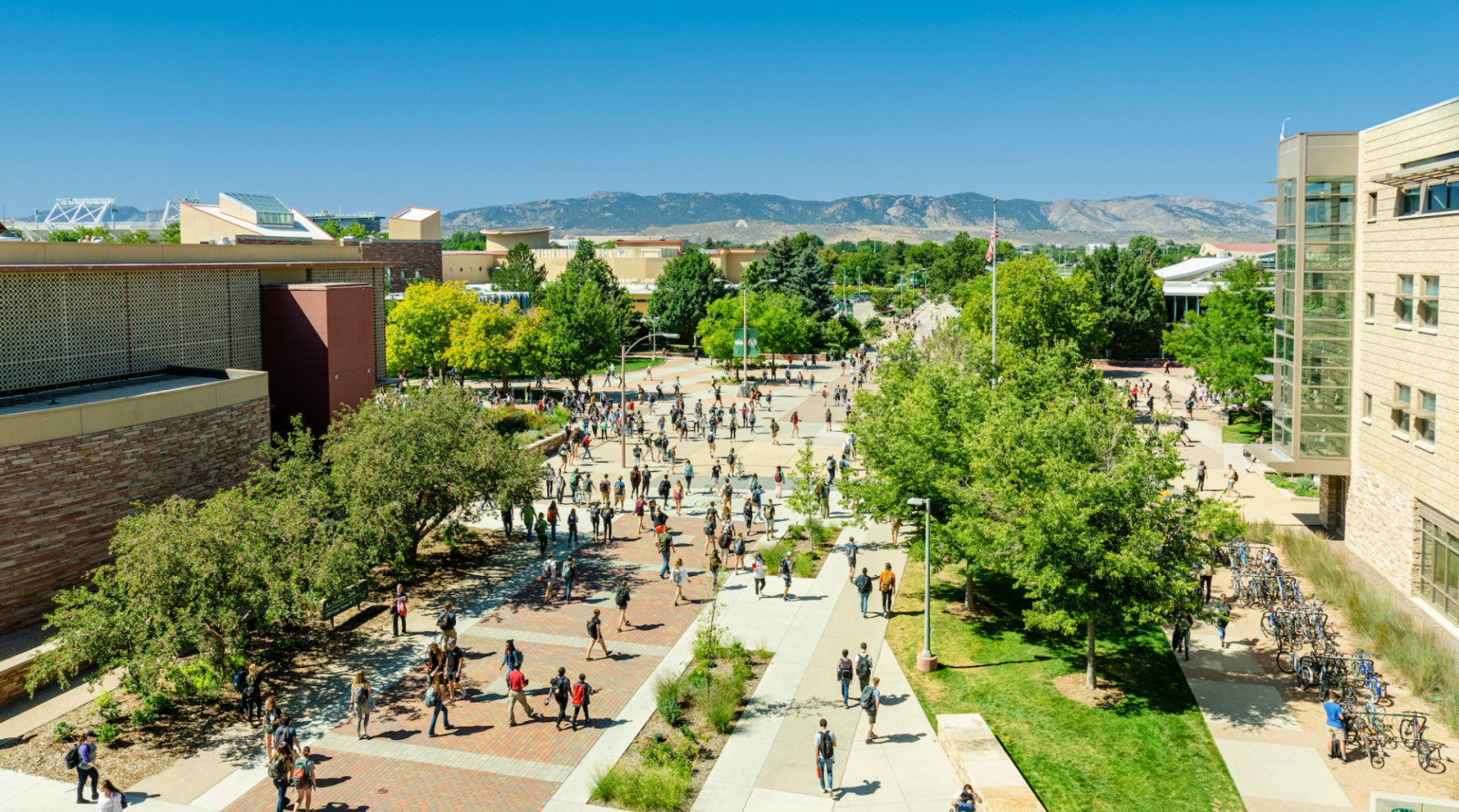 Colorado State University