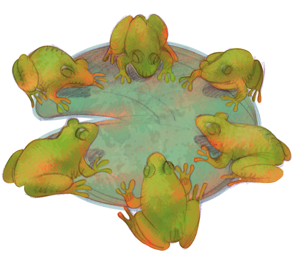 Circle of frogs sitting on lily pad